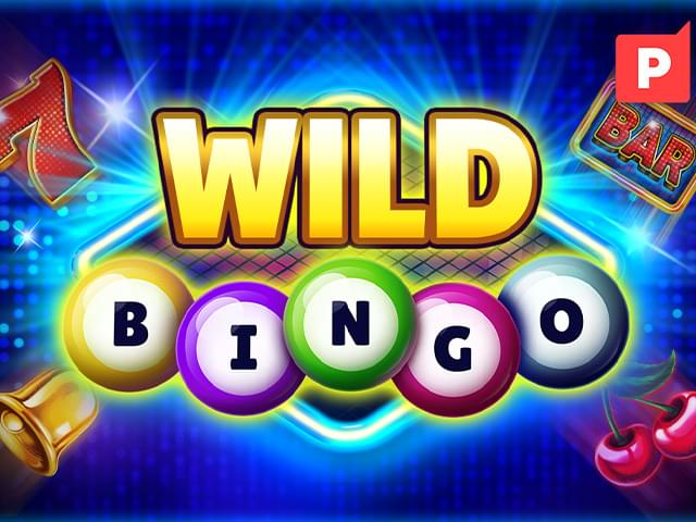 4444 win Bingo Selvagem